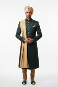 Royal Groom Brown Gold Studio